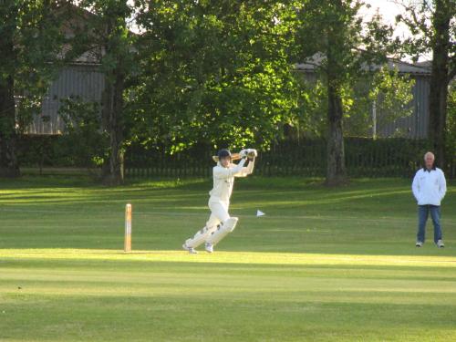 back foot drive 2.jpg